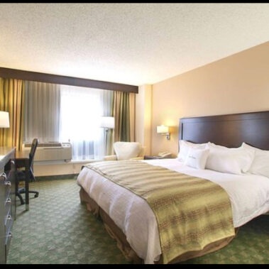 Hotel Liquidation - The Dexter Group King