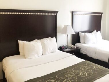 Hotel Liquidation - The D Hotel Double