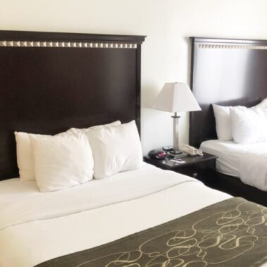 Hotel Liquidation - The D Hotel Double