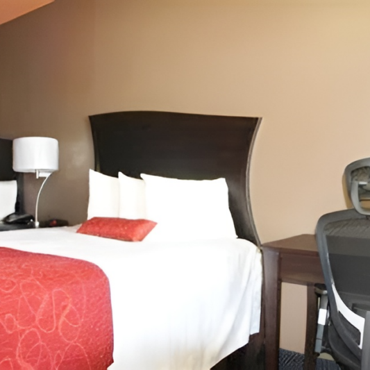 Hotel Liquidation - Livingston Group Gallery Double