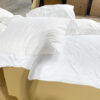 Hotel Liquidation - Pillows1